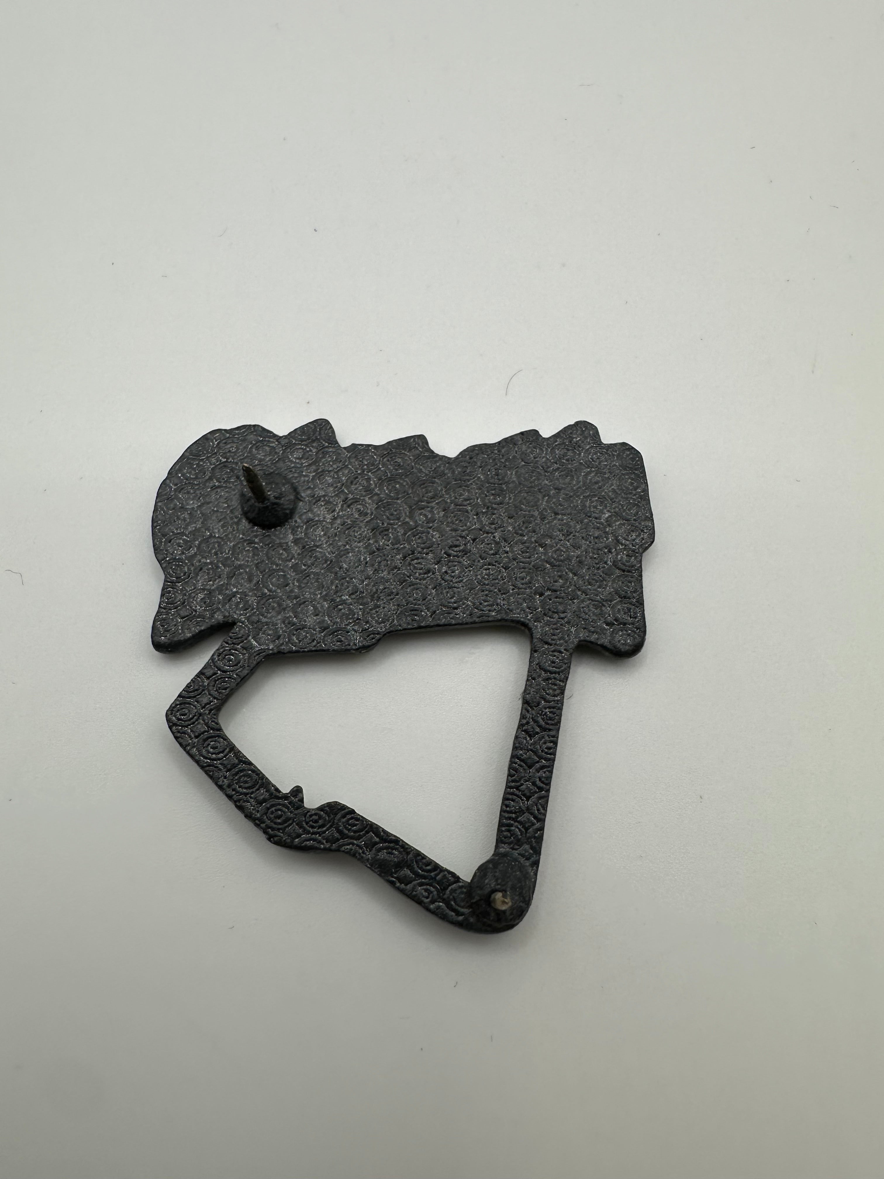 Thrasher Flag Hat Pin