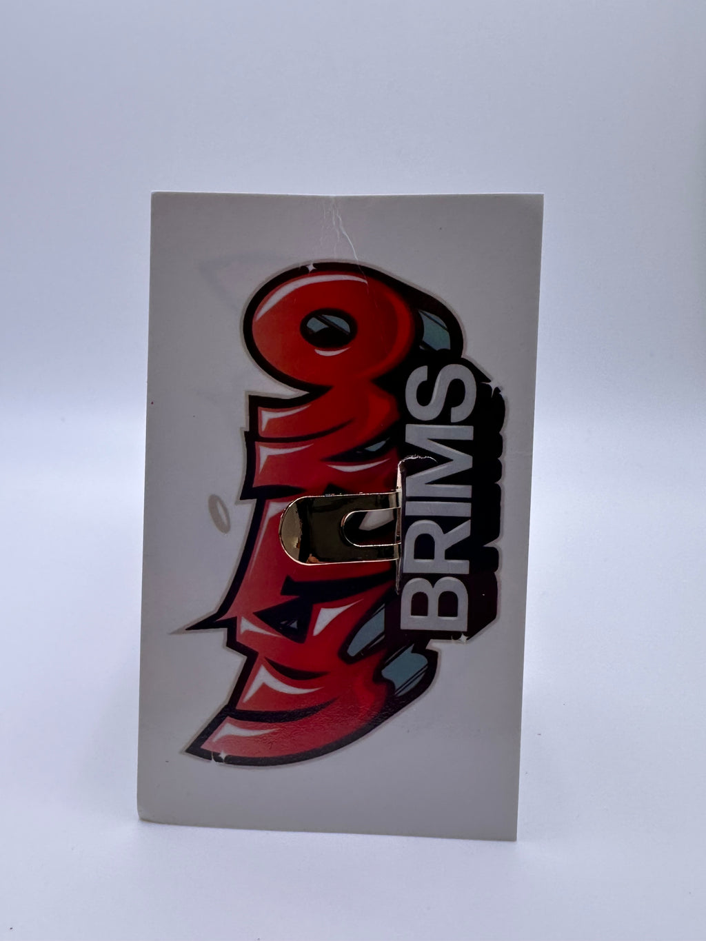 @VltnoBrims "The World Is Yours" Hat Blip