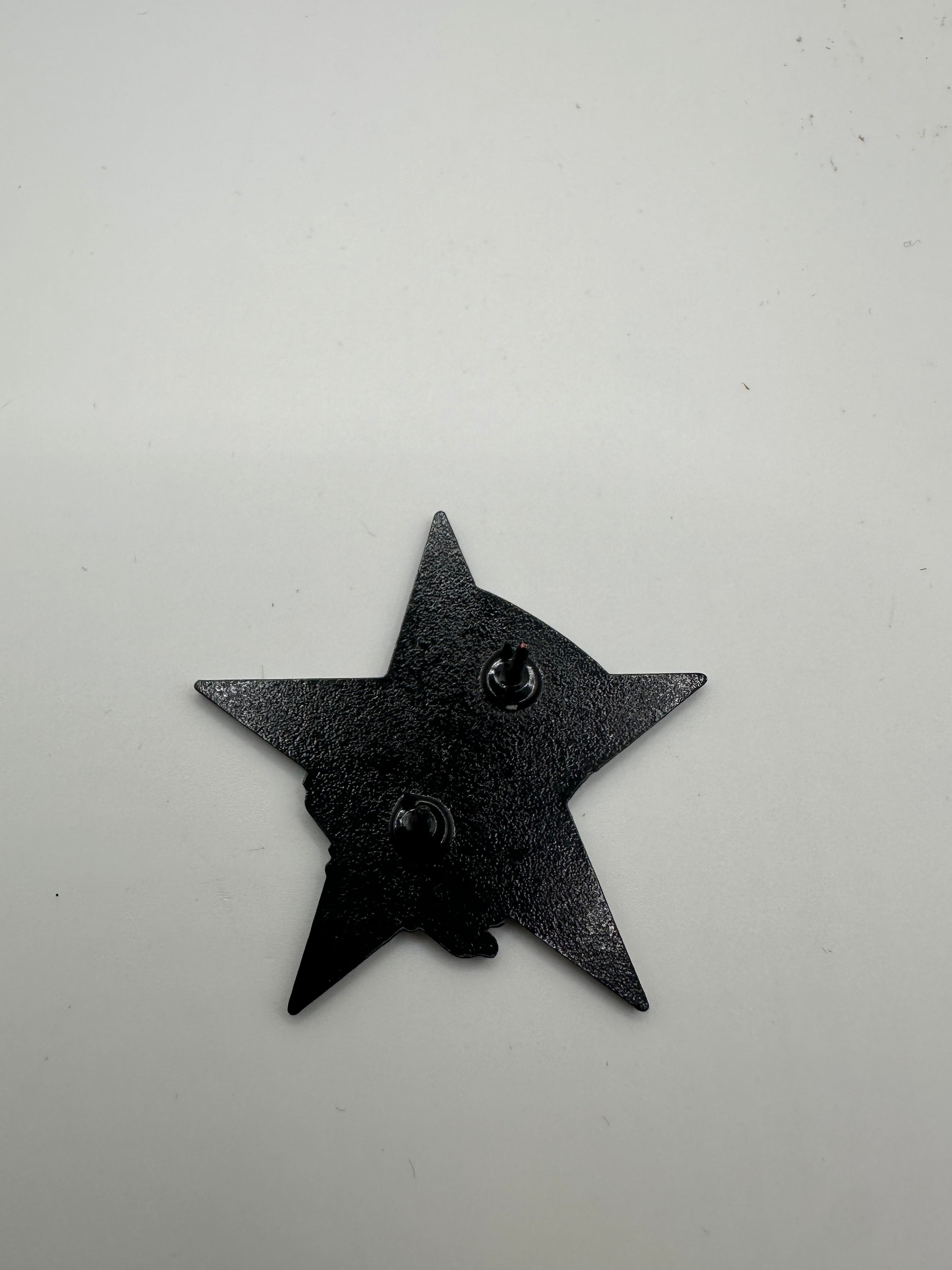 Houston Astros Cheaters Hat Pin